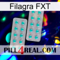 Filagra FXT 29